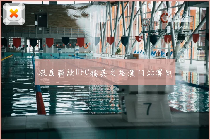 深度解读UFC精英之路澳门站赛制