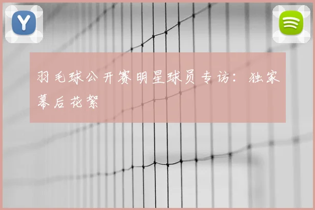 羽毛球公开赛明星球员专访：独家幕后花絮