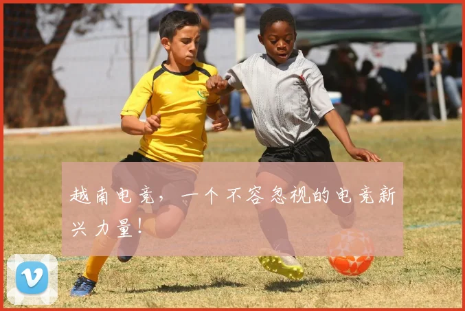 越南电竞，一个不容忽视的电竞新兴力量！