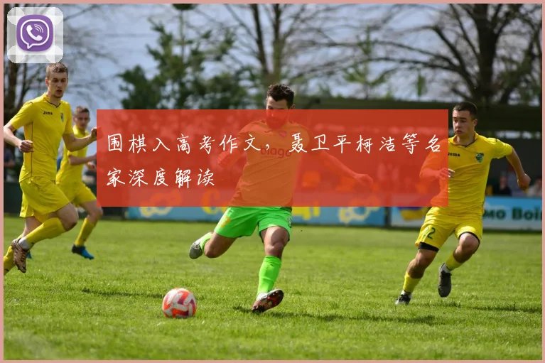 围棋入高考作文,聂卫平柯洁等名家深度解读